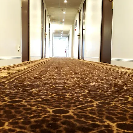 酒店 日食酒店 玛格楠维尔